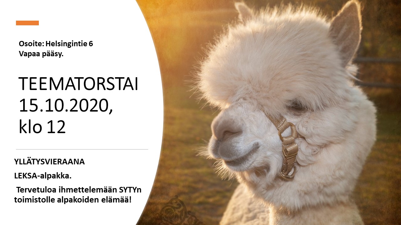 Alpakka Leksa, mainos tekstin vieressä