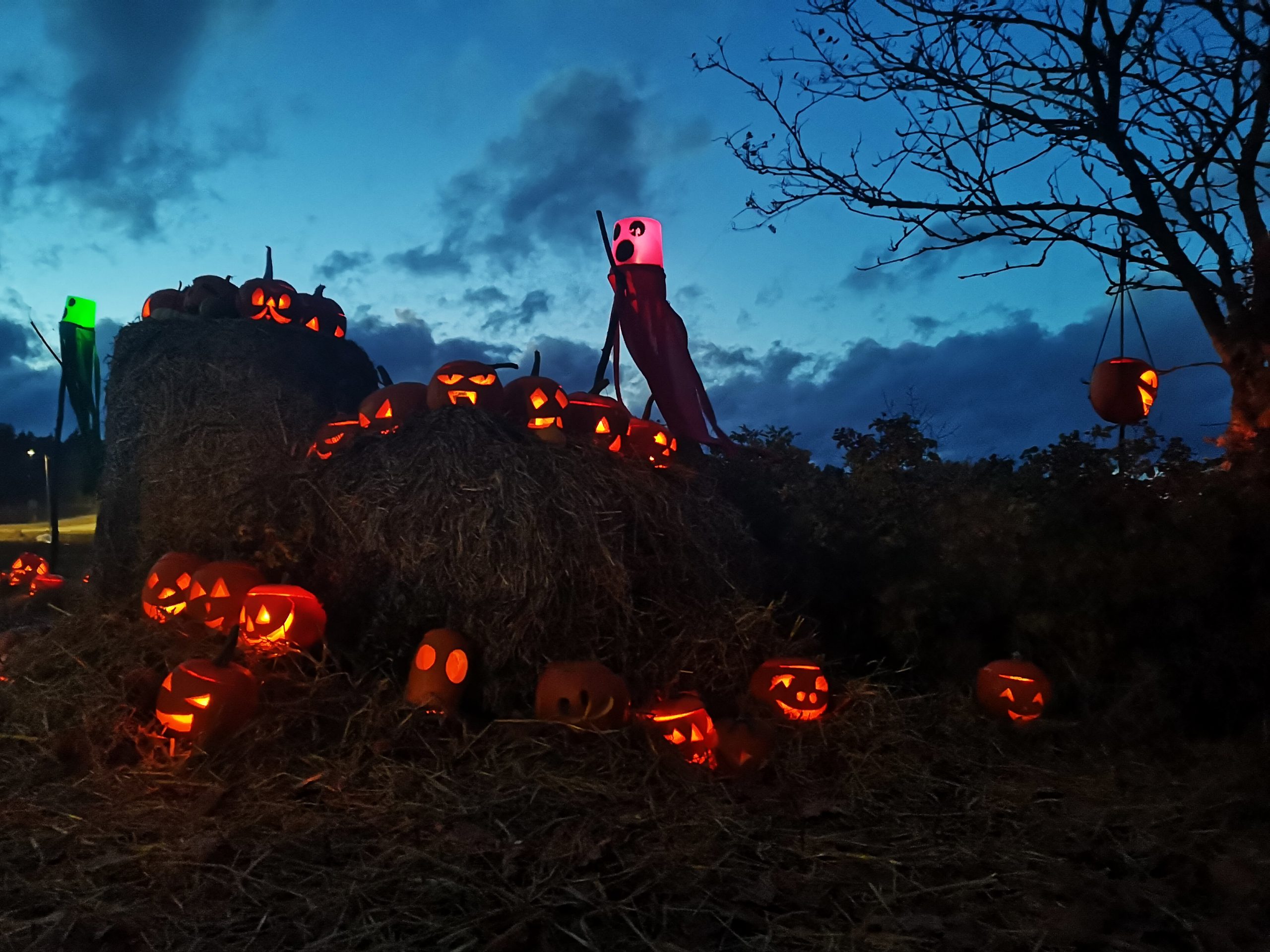 Pumpkin Weeks - Salon Tapahtumat