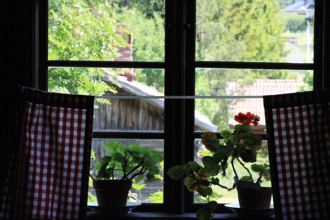 Maalaistalon ikkuna, jossa ikkunalaudalla kukkia ja näkymä vehreälle piha-alueelle