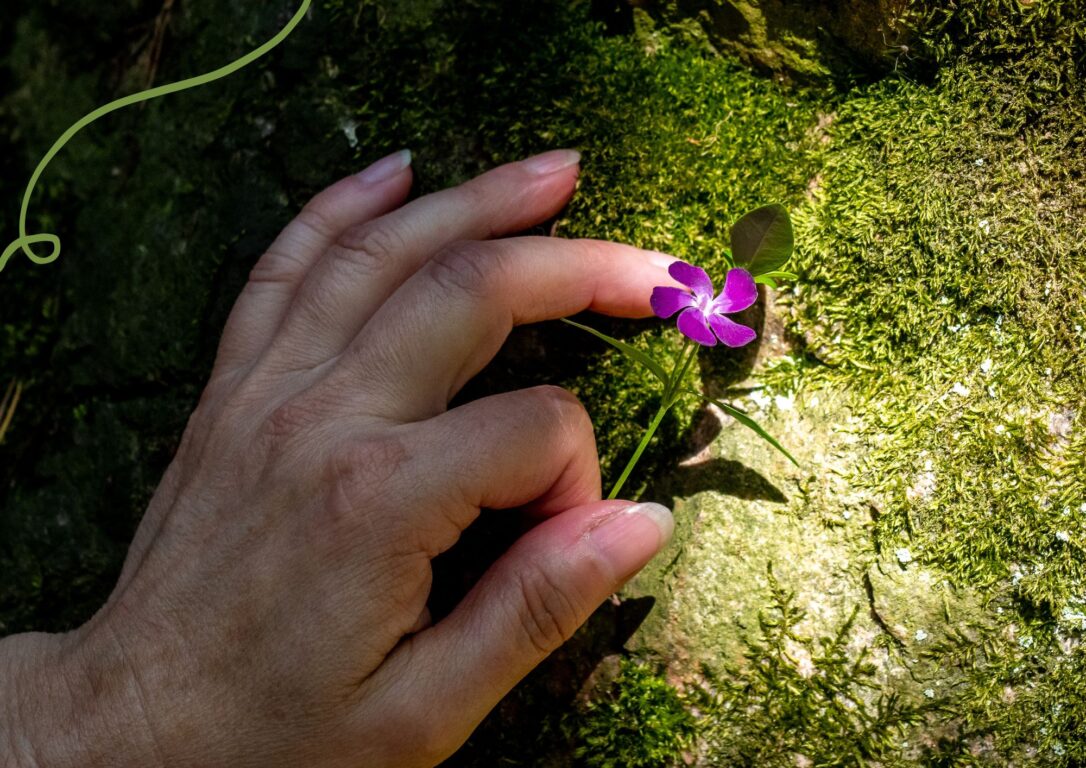 käsi nojaa puunrunkoon ja pitelee violettia kukkaa