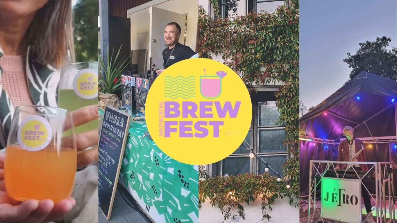 Brew fest Mathildedal, pienpanimoita ja dj Jetro