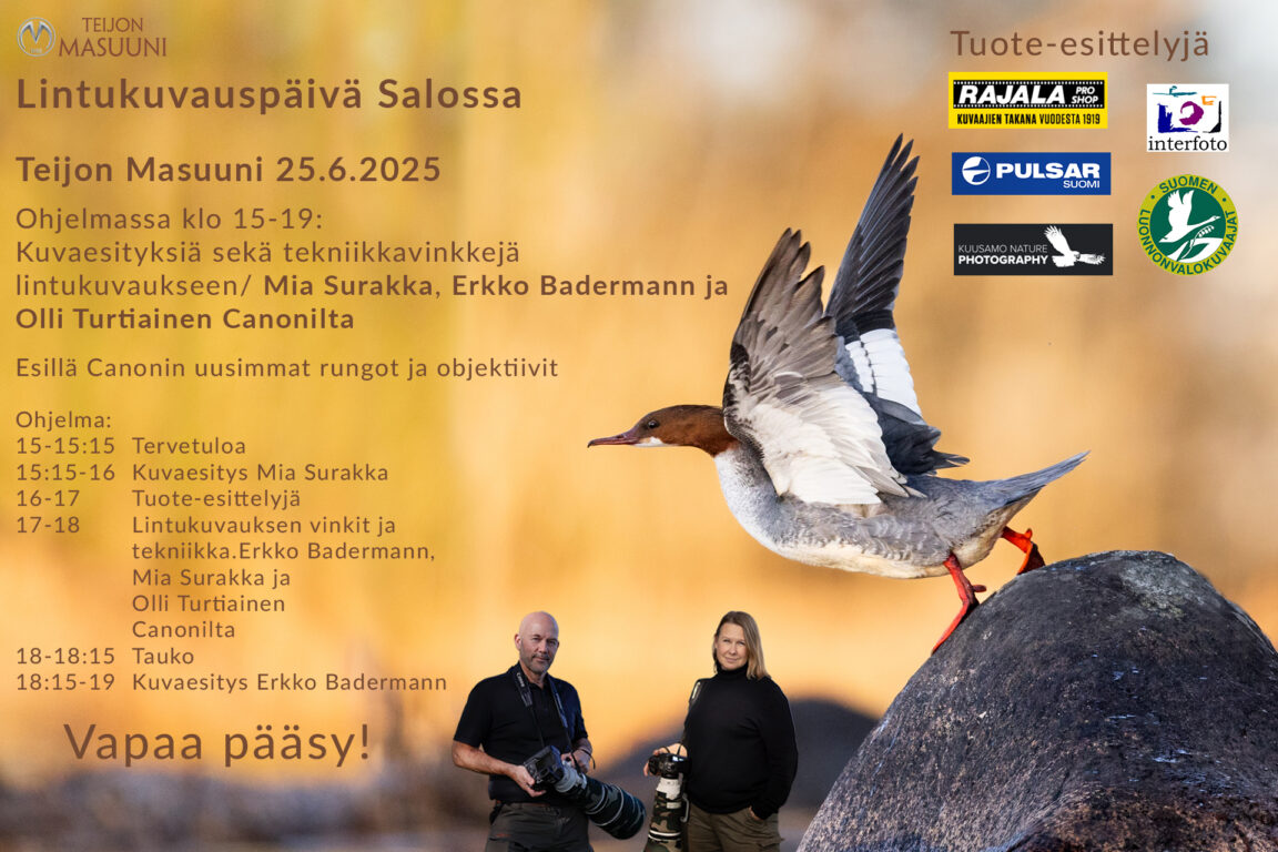 Lintukuvauspäivä Teijon Masuunilla