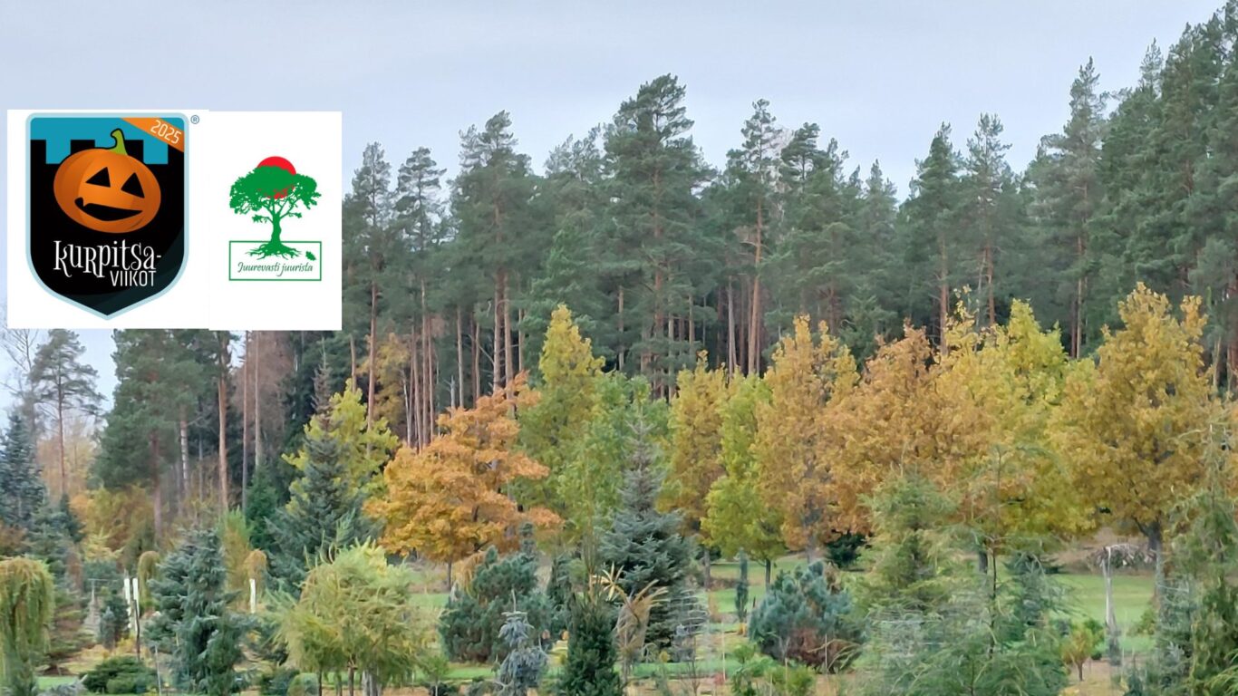 Ilolan Arboretum syksyn ruskassa.