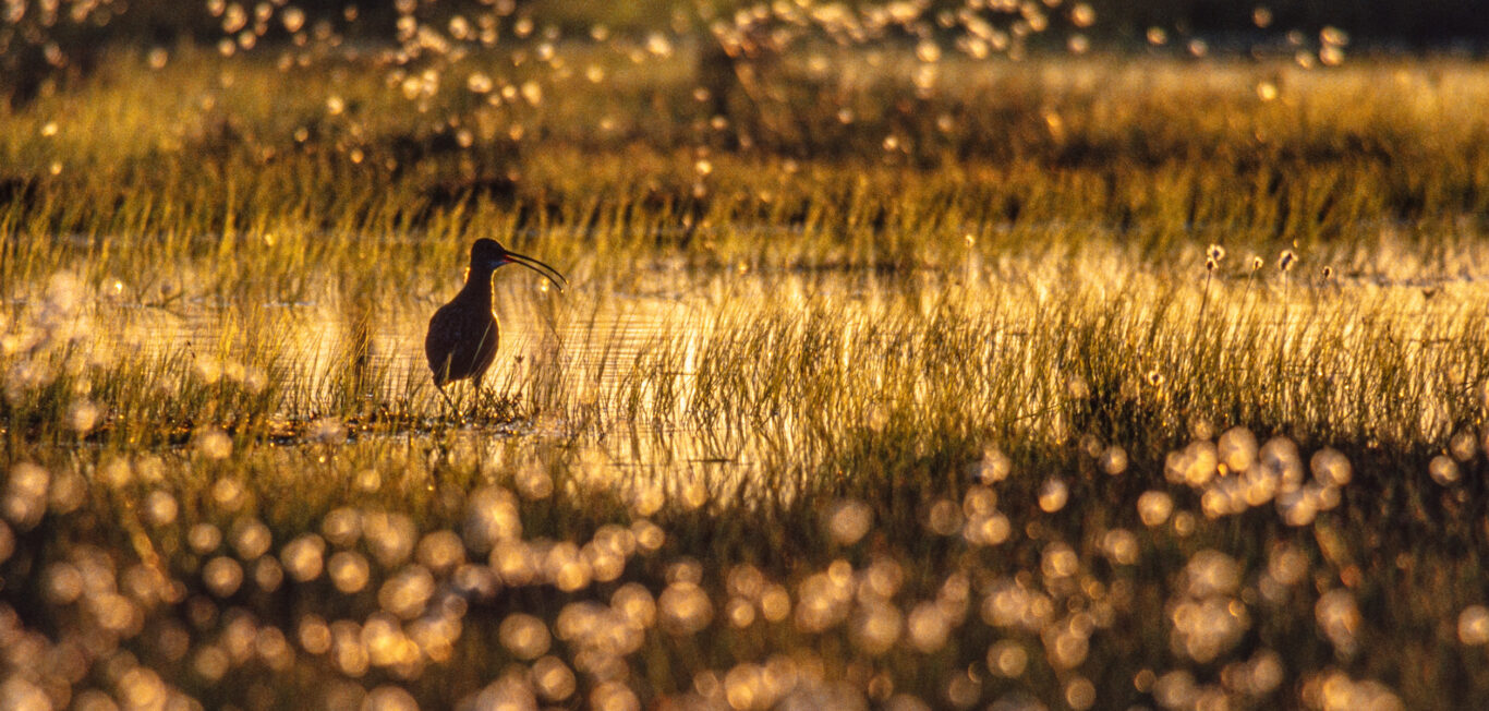 © Hannu Hautala -säätiö