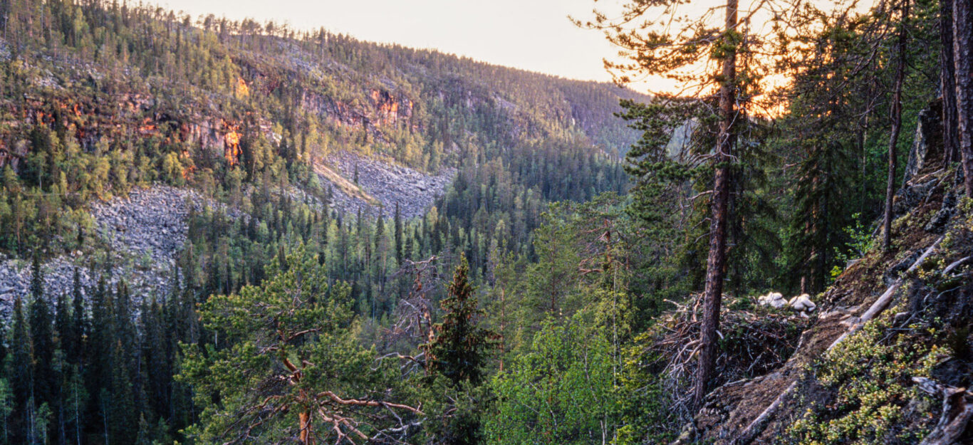 © Hannu Hautala -säätiö