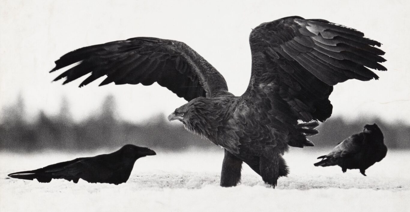 © Hannu Hautala -säätiö