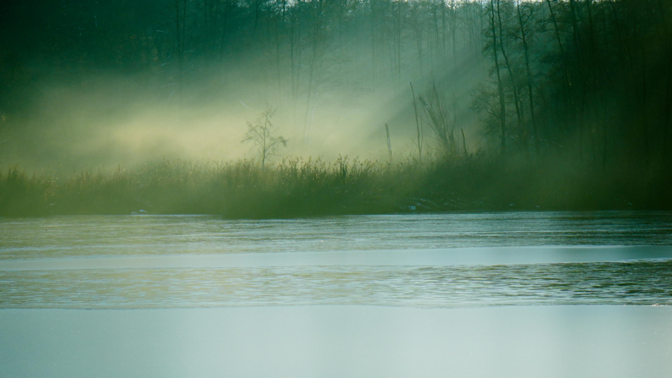 usvainen joki ja puita