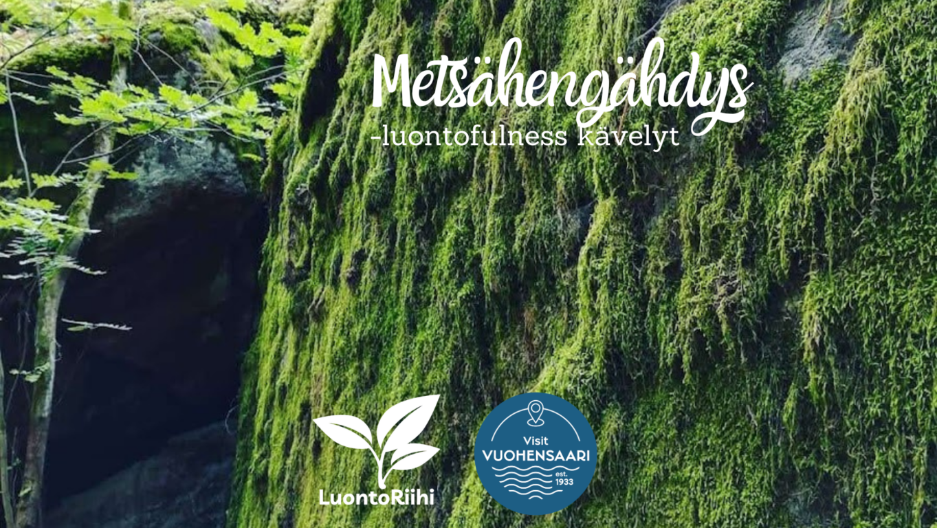 Tummanvihreä sammaleinen kallioseinämä metsän siimeksessä