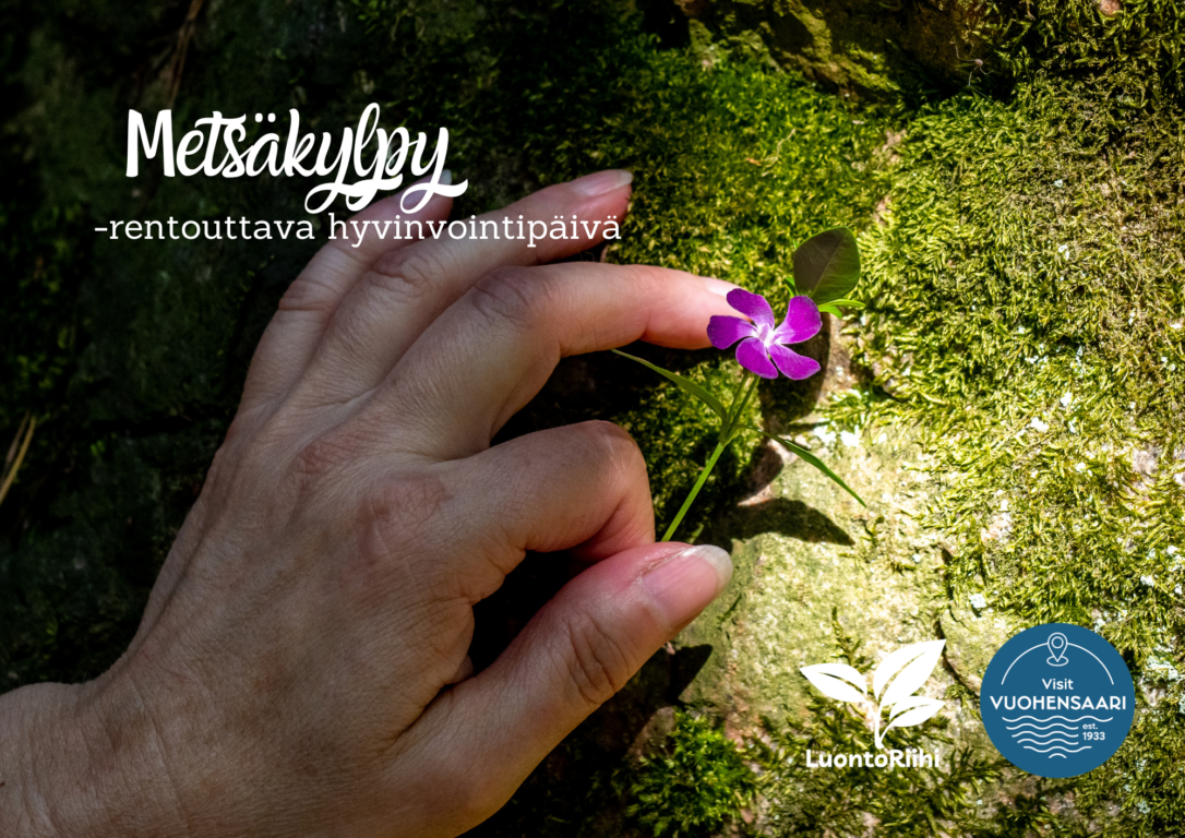 Käsi pitelee liilaa kukkaa sammaleella