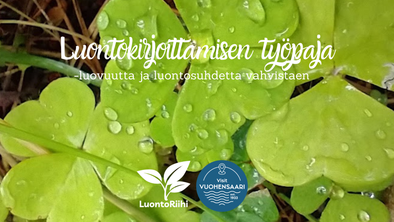 Ketunleivät aamukasteessa