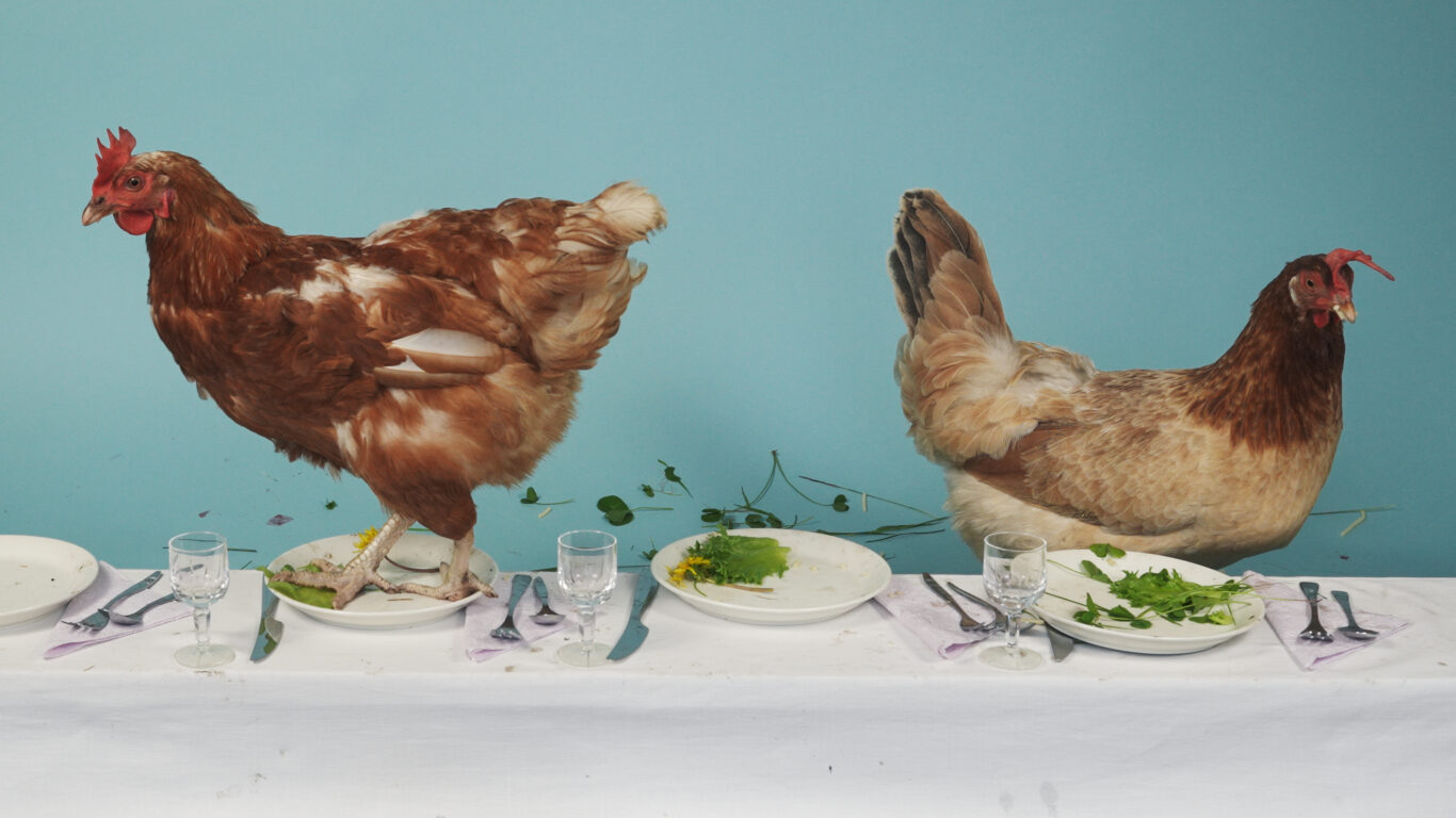 Kuva: Paula Lehtonen.