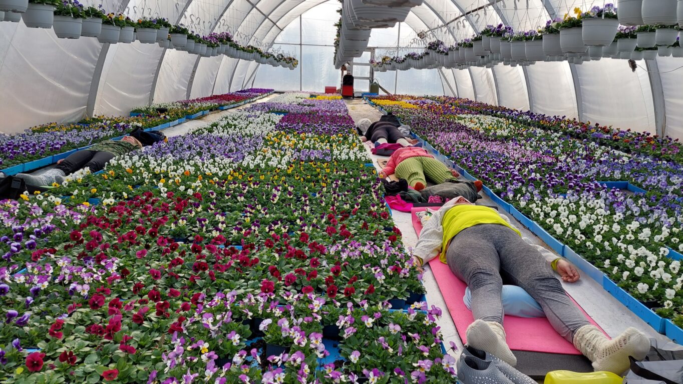 Puutarha Vesterinen Hoitola Kukkuvilla