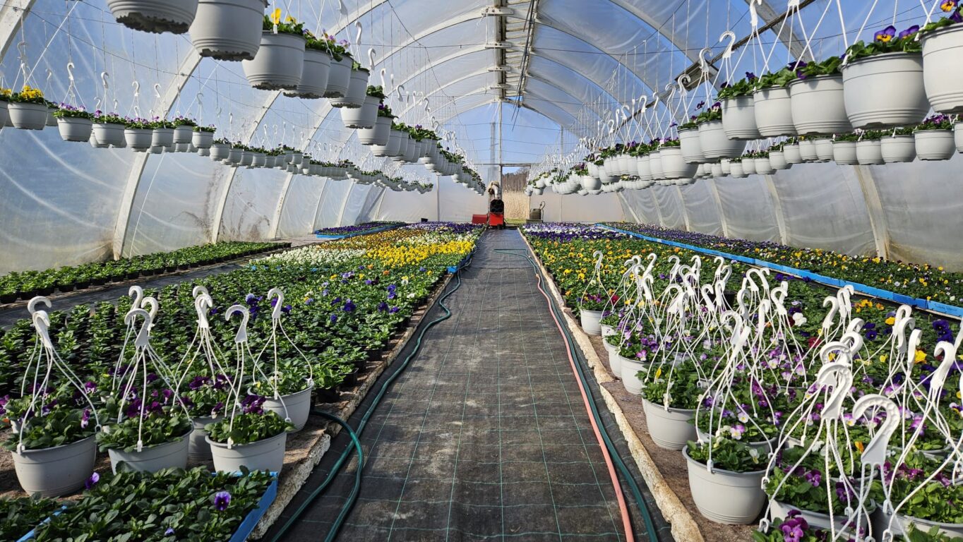 Puutarha Vesterinen Hoitola Kukkuvilla