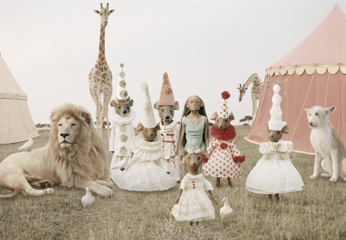 © Helena Blomqvist