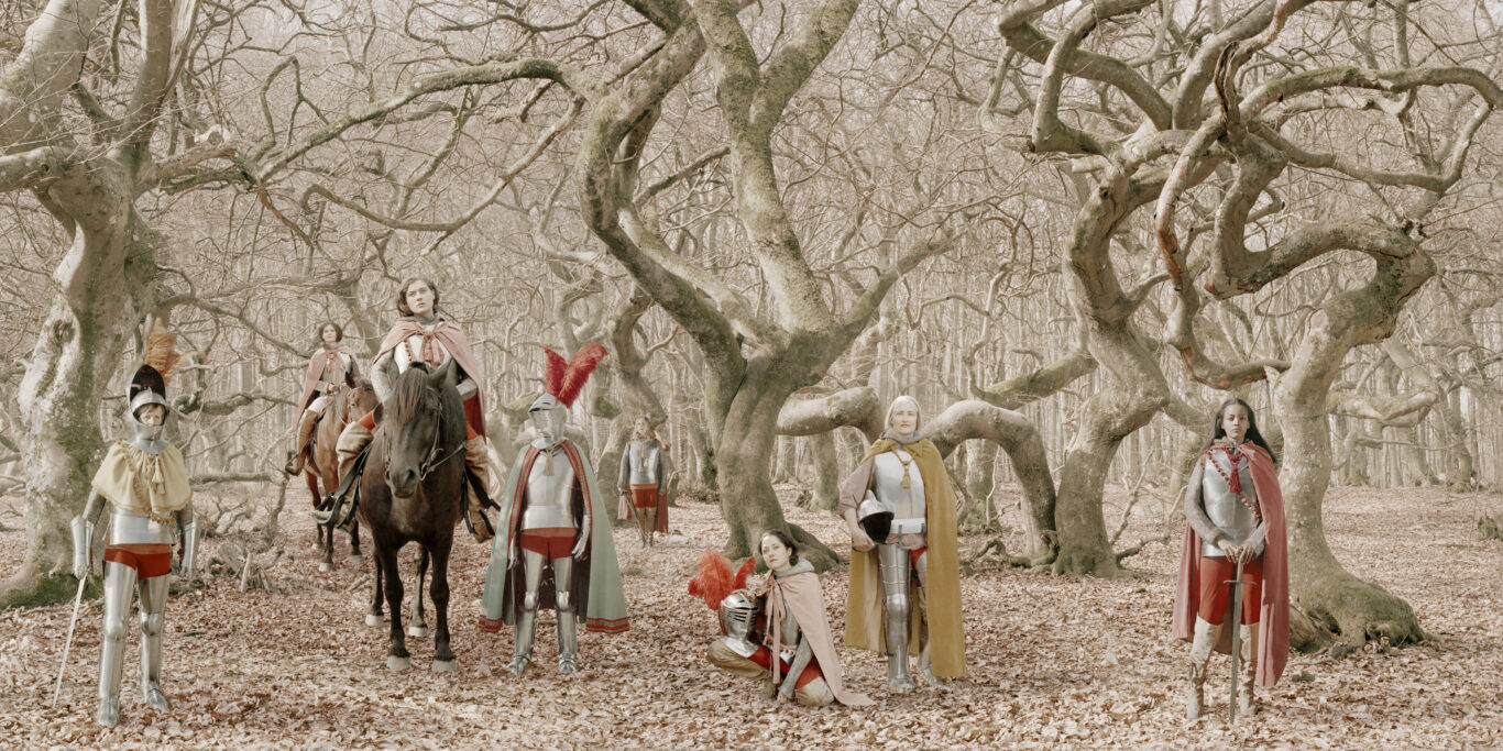 © Helena Blomqvist, Dwarf Beech Forest, 2019
