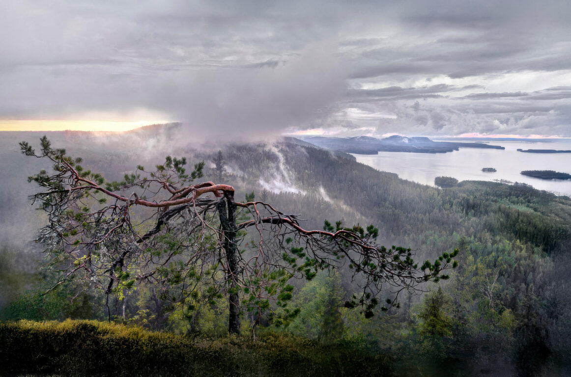 Ukko-Koli maisema