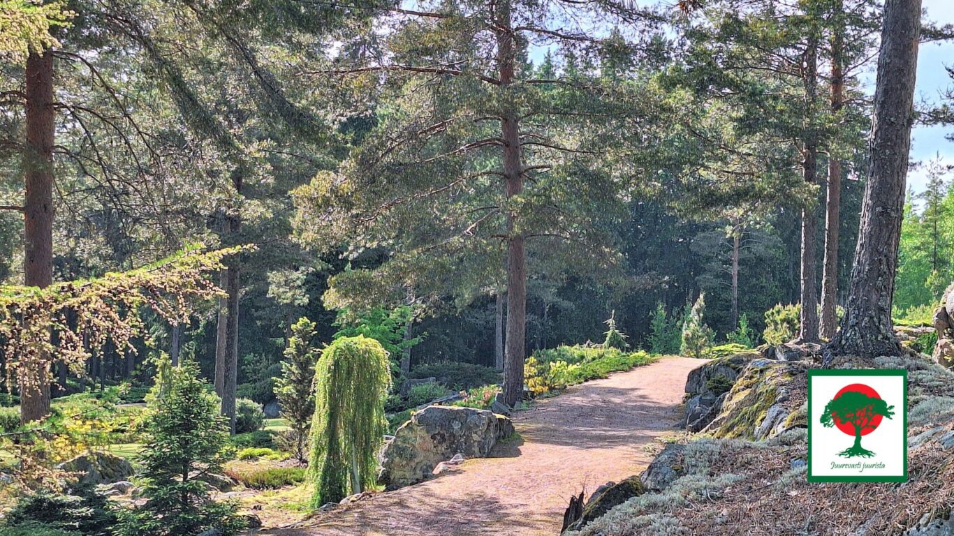 Ilolan Arboretumin kalliopuutarhan näkymiä