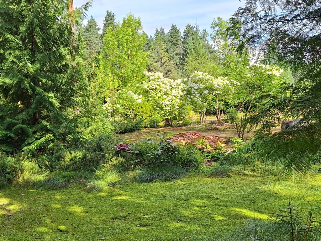 Ilolan Arboretum syyskesällä