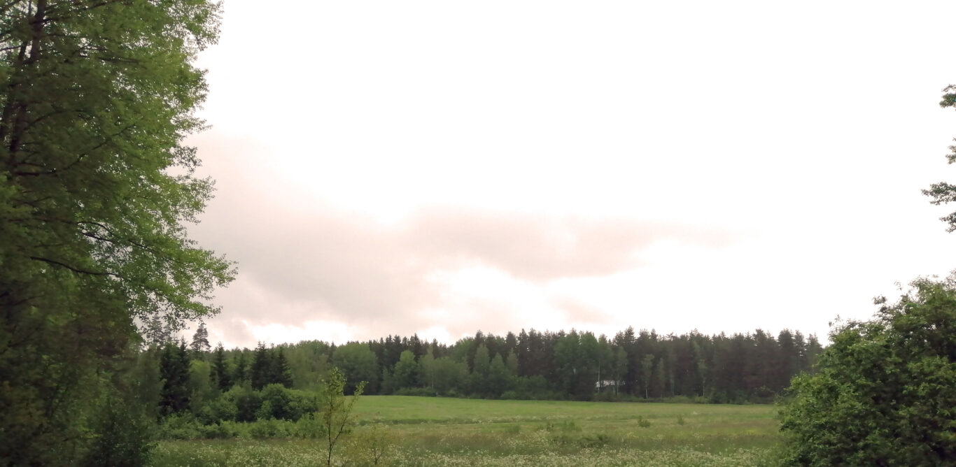 Tavolannummen peltoaukeaa. Taustalla metsää.