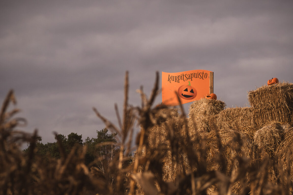 Pumpkin Park by Rannikon Puutarha.
